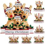 Personalised Baubles Family of 2/3/4/5/6/7/8 Personalised Xmas Tree Baubles Name Christmas Baubles Custom Xmas Tree Ornaments,Family of 4