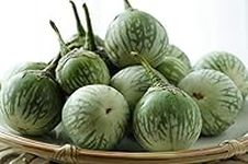Thai Round Green Eggplant Seeds (50