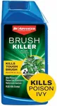 BioAdvanced Brush Killer Plus, Conc