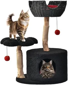 Modern Cat