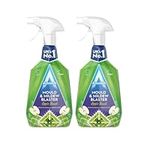 Astonish Mould and Mildew Remover, Apple Burst, 2 x 750ml