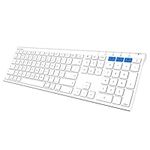 Arteck Bluetooth Keyboard for Mac iPad Multi-Device Stainless Steel Full Size Wireless Keyboard Compatible with iPad, iMac, Mac mini, MacBook, iPhone, Mac OS, iOS, Built-in Rechargeable Battery