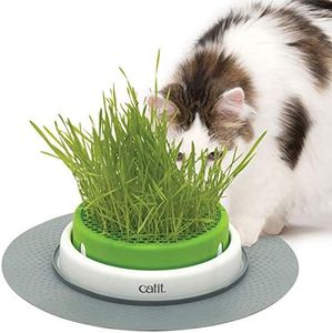 Catit Gras