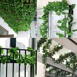 Go Hooked (Pack of 8 Creepers Artificial Garland Money Plant Leaf Creepers for Home Decoration, Party Dcor (8 Creepers, 30 Leaves in 1 Creeper, 6 Foot Each), Green, 1 Centimeters