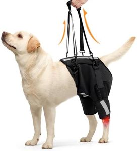 Dotoner Harnais pour Chien Handicapé,Harnais de Levage pour Chien,pour Le Dos Et La Récupération des Pattes des Chiens,Lésions Ligaments Croisés,De Soutien Réglable pour Les Chiens Agés Et Blessés