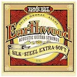 Ernie Ball Earthwood Silk and Steel