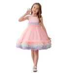 Niren Enterprise Fairy Tail Net Flared Sleeveless Ruffled Pattern Baby Girl Frock, Pack of 1 (Fairy Tail, 7-8Y) Pink