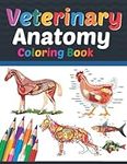 Veterinary Anatomy Coloring Book: V