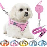 HPETHF Dog Harness for Small Dogs Leashes Set,Soft No Pull Adjustable Breathable Mesh Leash and Harness Vest Belt for Puppy,Small,Medium Dogs and Cats.（PK-XS）