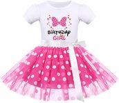 IMEKIS Mouse 2nd Birthday Outfit Baby Girls Dress Polka Dots Mini Tutu Headband Two Years Old Cake Smash Photo Shoot Toddler Second Mouse Themed Birthday Party Supplies Hot Pink Bowknot 18-24 Months