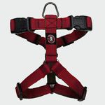 PETS LIKE PREFECT CREATION Designer Dog Full Harness| Adjustable Dog H Harness| Dog Harness Comes with Red Color for Small Full Harness.