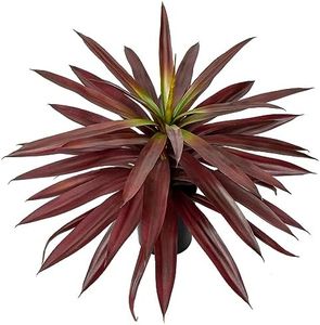 Briful Fake Plants 20 Inch Artificial Yucca Potted Plants Faux Agave Succulent Agave Plants for Home Decor Indoor Outdoor Office Porch Table Desk Bedroom (Red)