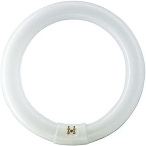 Philips TL-E 22W/865 1CT/12 Tube Fluorescent 84053700