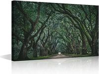 TISHIRON Louisiana Wall Art 1 Piece Legendary Tree Tunnel Pictures Canvas Print Spanish Oak Trees Posters Vintage Artwork for Home Walls Framed Painting for Bedroom Office Decorations, 24x16in