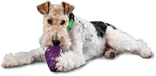 PetSafe Busy Buddy Squirrel Dude Dog Toy - Treat Dispensing Toy – Extra Small, Small, Medium and Large Sizes