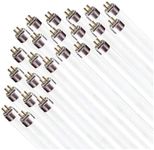 (Case of 25) F32T8/SP865 Daylight Linear Fluorescent 32-Watt T8 FO32 6500K Light Bulbs 48"