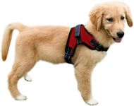 Copatchy No Pull Reflective Adjustable Dog Harness With Handle- Comfortable Soft All Weather Mesh, Easy On Puppy Harness For Small Medium and Large Dogs (Red) Medium