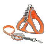 Pets First Harness For Bulldogs