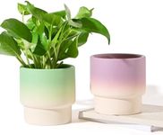 4 Inch Plant Pots Indoor with Drainage Holes Ceramic Planter Set of 2, Small Succulent Clay Planter Pots, Green and Purple Cute Flower Pots for Indoor Plants