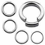 WildKlass Jewelry Septum Ring 16G 14G 12G 10G 8G Steel Segment Seamless Nose Hoop, Alloy Steel