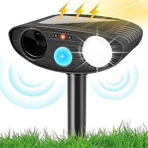 Ultrasonic