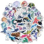 Ocean Stickers for Water Bottles, C