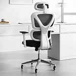 Sytas Ergonomic Home Office Chair, Desk Chair with Lumbar Support, Ergonomic Computer Chair High Back