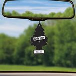 LITTLE TREES Car Air Freshener | Hanging Paper Tree for Home or Car | Black Ice | 3 Pack