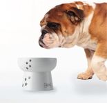 Necoichi Raised Dog Water Bowl, Ele