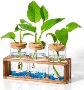 NEAGLORY Propagation Stations Planter Plant Terrarium Holder Vase Pot Tabletop Desktop Water Plant Decor for Office Plants Gift Decorations for Women&Plant Lover, 3 Glass Planters, Wooden Stand