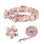 Dog Collar and Leash Set with Flower Bowtie, Dog Collar Leash Set, Cute Puppy Collar and Lead Sets, Detachable Bowtie and Flower for Small Medium Large Dog