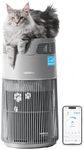 WISESKY Pet Air Purifier, 3-in-1 HE