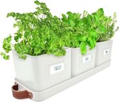 Green Thumbz Herb Pots for Kitchen Windowsill - Set of 3 Warm Stone Herb Planter Indoor with Leather Handled Tray - Ideal for an Indoor Herb Garden, Plants and Flowers - Labels Included