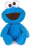 Sesame Street Cuddly Corduroy Cooki