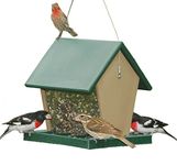 Songbird Essentials Recycled Plastic Large Bird Hopper Feeder