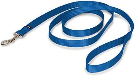 PetSafe Nylon Leash, 3/4" x 6', Royal Blue