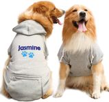 Personalized Dog Hoodie - Stylish C