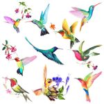 20 Pieces Large Size Hummingbird Window Hummingbird Decals for Windows Anti-Collision Window Clings Decals to Prevent Bird Strikes on Window Glass Non Adhesive Vinyl Cling Hummingbird Stickers