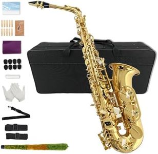 Yinfente Eb Alto Saxophone For Beginners Adult,Saxophone Student,E Flat Alto Sax Full Kit With Reeds,Pads Cushions,Hard Carrying Case,Cleaning Cloth & Rod,Mouthpiece,Gloves,Neck Strap Gold
