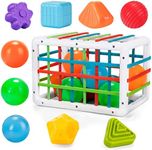 LZDMY Baby Toys for 9 Months Plus, Toddler Sensory Toy Shape Sorting Bin, Montessori Educational Toys for 1 Year Old Girls Boys, Baby Blocks Toys 12 PCS, 1st Birthday for Babies (Classic Edition)