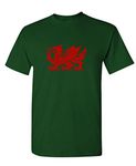 The Goozler - Welsh Dragon - Mens Cotton T-Shirt, Forest, 3XL