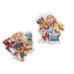 Paw Patrol 2 pc Ice Packs, Assorted