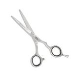 VEGA PROFESSIONAL Pro Craft E 5" Silver line Hairdressing Scissor, (VPVSC-19)