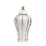 F Fityle Porcelain Ginger Jar, Decoration, Flower Vase for Storage Tank Flower Arrangement (S 36cmx18cm)