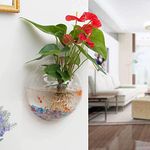 PREMIER PLANTS Wall Hanging Fish Bowl Acrylic (not Glass) 12 inches Medium Size with Free Multi - Color Stones (White) (L)