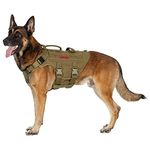 Tac Vest For Dogs