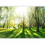 murando Photo Wallpaper Forest 400x280 cm Non-Woven Premium Art Print Fleece Wall Mural Decoration Poster Picture Design Modern Nature Landscape Green c-B-0336-a-a