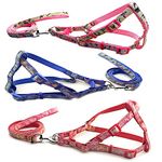 Pups&Pets Puppy Color-Full Printed Ribbon Stitched Harness and Leash | Adjustable Long Harness | Nylon Soft Reflective Harness and Leash Set for Small Dogs & Cats (Color May Vary) ((15MM, Small))