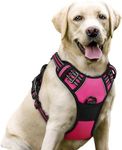 rabbitgoo Dog Harness No Pull with 