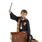 Rubie's Official Harry Potter Trunk And Costume Set, Kids Fancy Dress